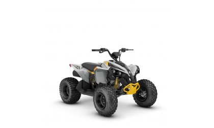 Renegade 110 EFI